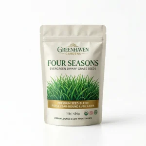 Four Seasons Evergreen Dwarf Grass Seeds